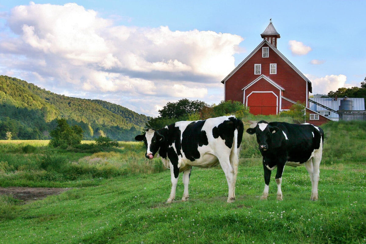 1. Discover farm fresh